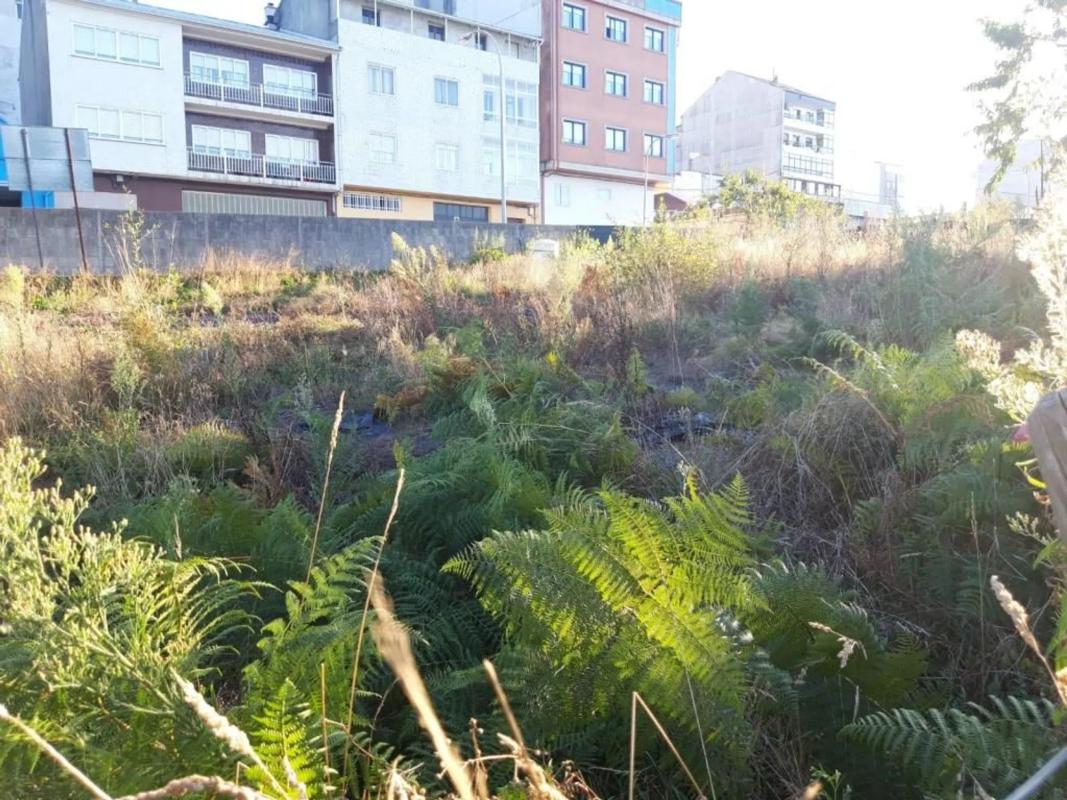 Land for sale in A Estrada, Pontevedra photo 5