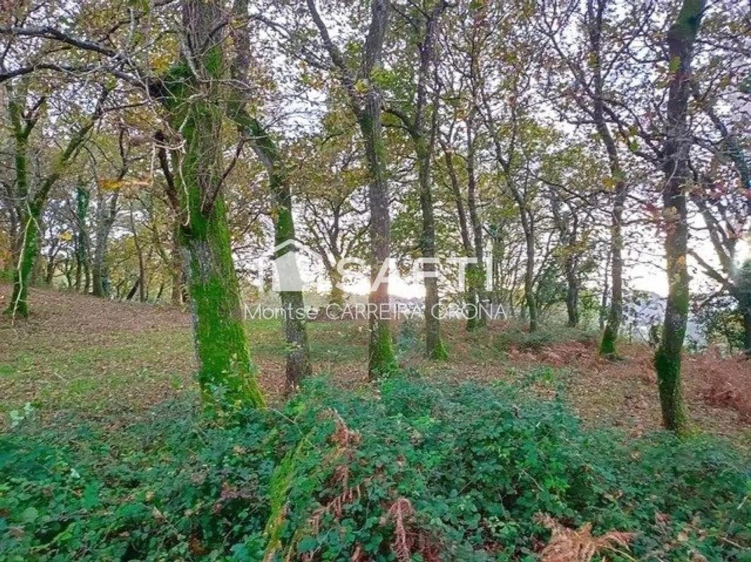 Terreno en venta en A Estrada, Pontevedra photo 4