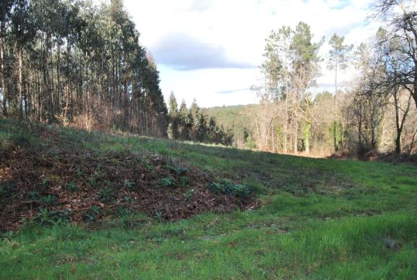 Terreno en carril de Bouzón s/n thumbnail 1