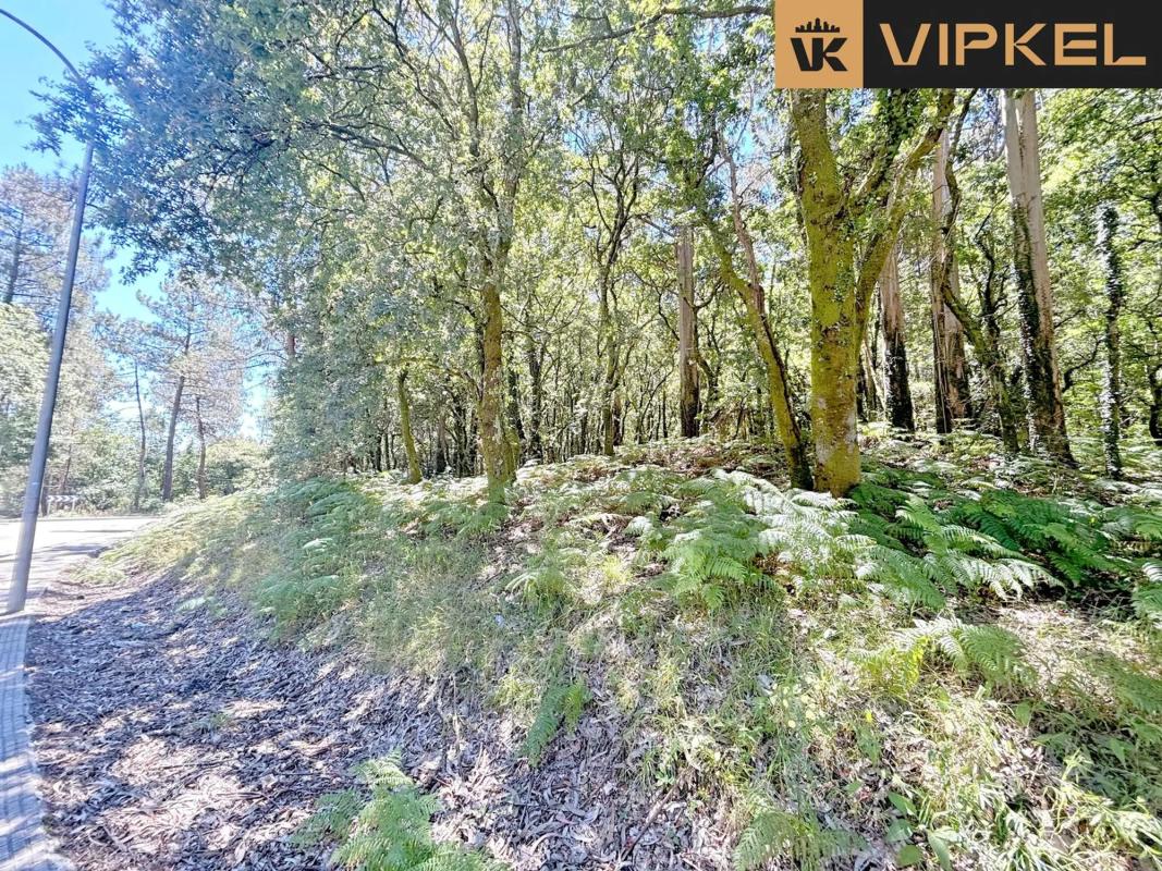 Land for sale in A Estrada, Pontevedra photo 4