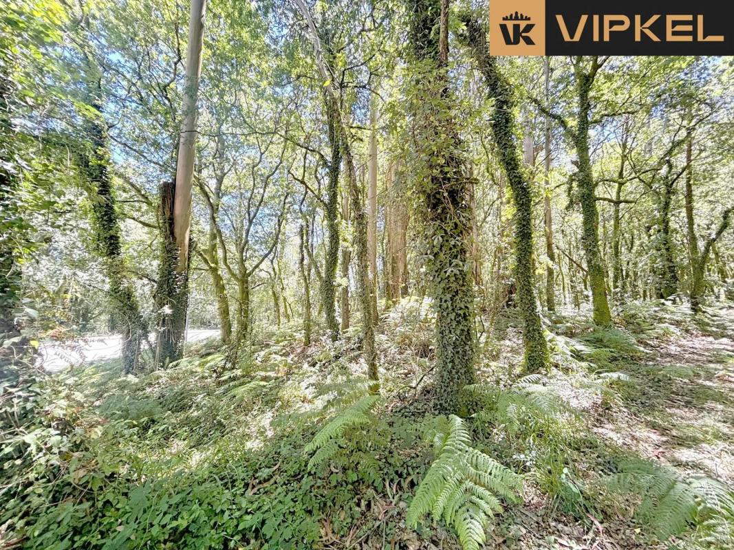 Land for sale in A Estrada, Pontevedra photo 5