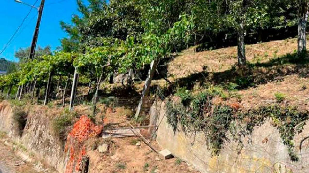 Terreno en venta en A Estrada, Pontevedra photo 3