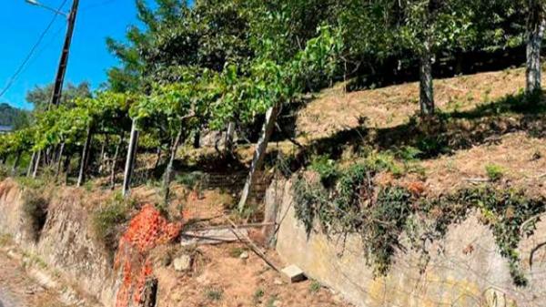 Terreno en N-525, 321 photo 3