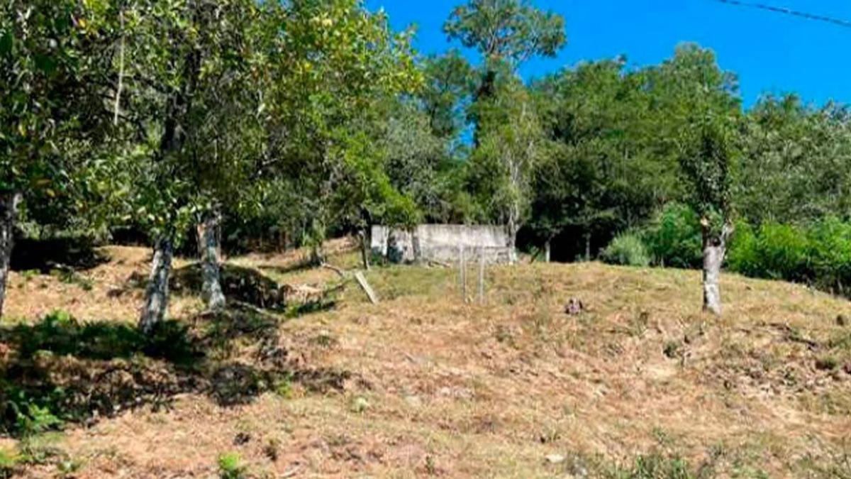 Terreno en venta en A Estrada, Pontevedra photo 5