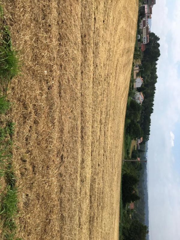 Участок земли на продажу в А Эстрада, Пontevedra photo 5