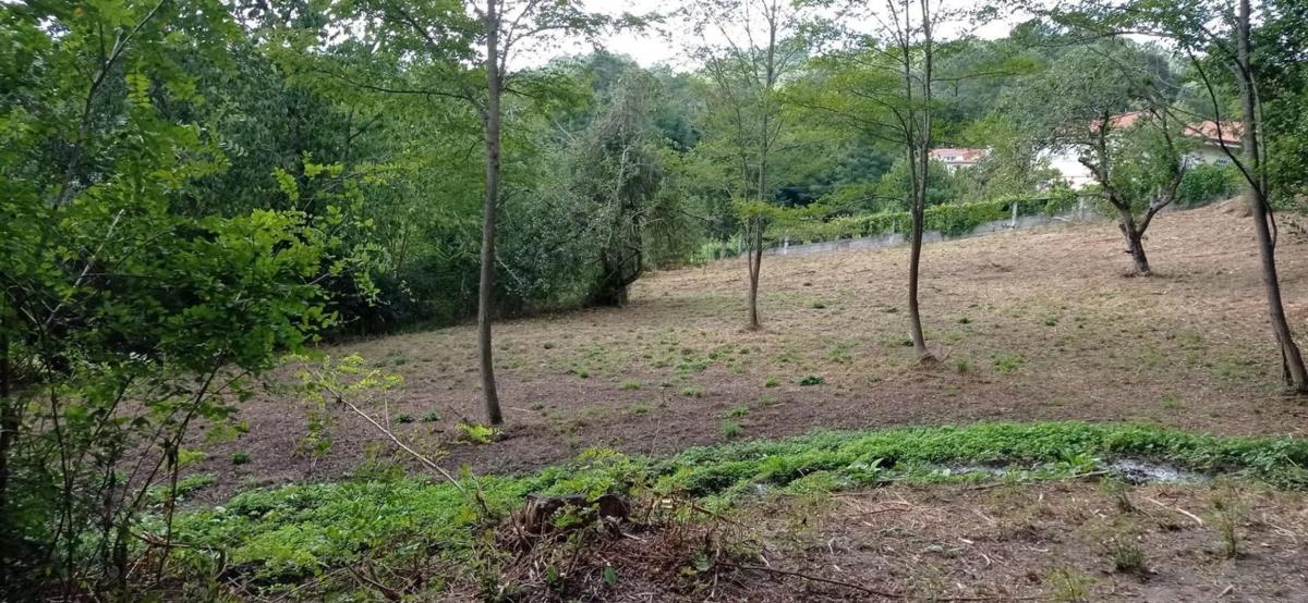 Land for sale in A Estrada, Pontevedra photo 2
