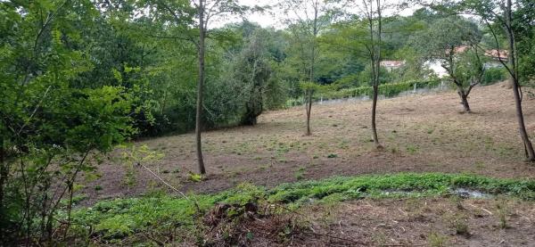 Terreno en A Estrada photo 2