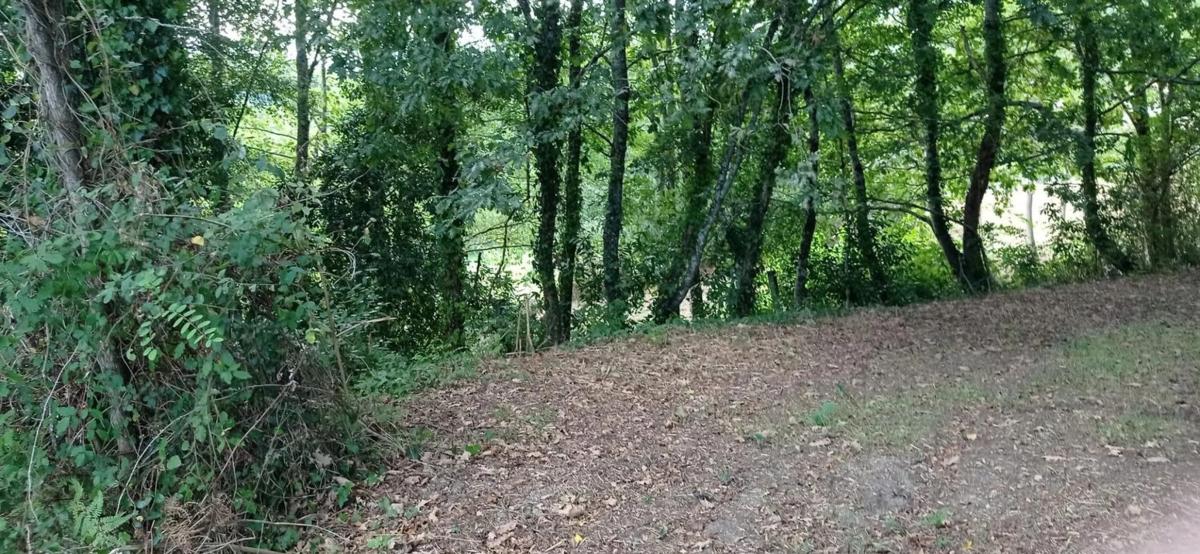Land for sale in A Estrada, Pontevedra photo 3