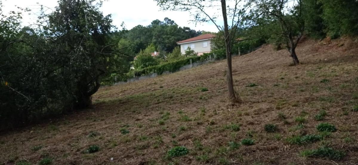 Land for sale in A Estrada, Pontevedra photo 4