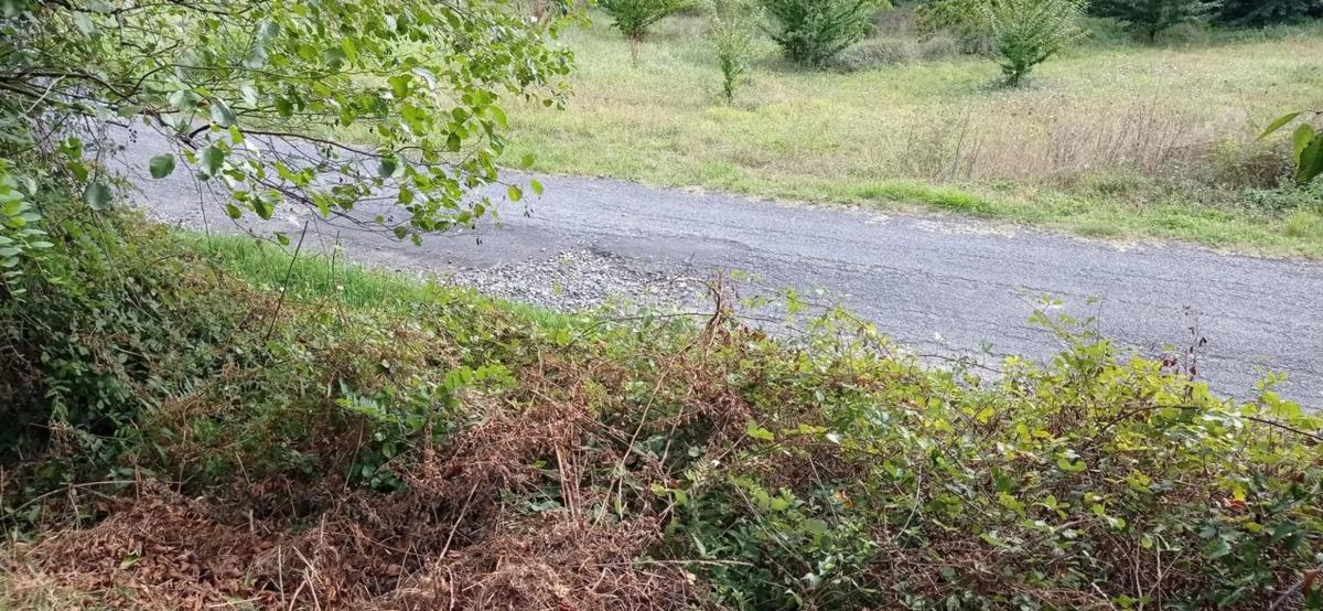 Land for sale in A Estrada, Pontevedra photo 5