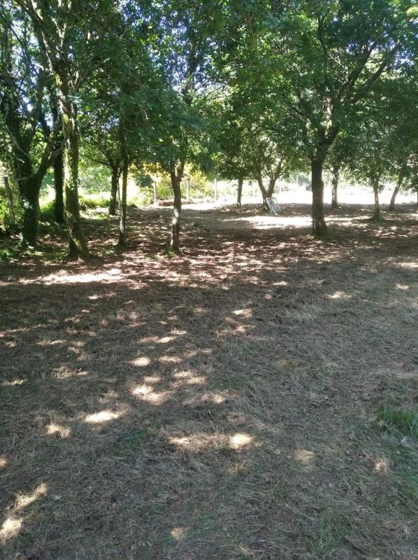 Działka na sprzedaż w A Estrada, Pontevedra photo 3