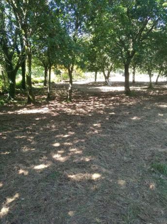 Terreno en Loureiro, 23 photo 3