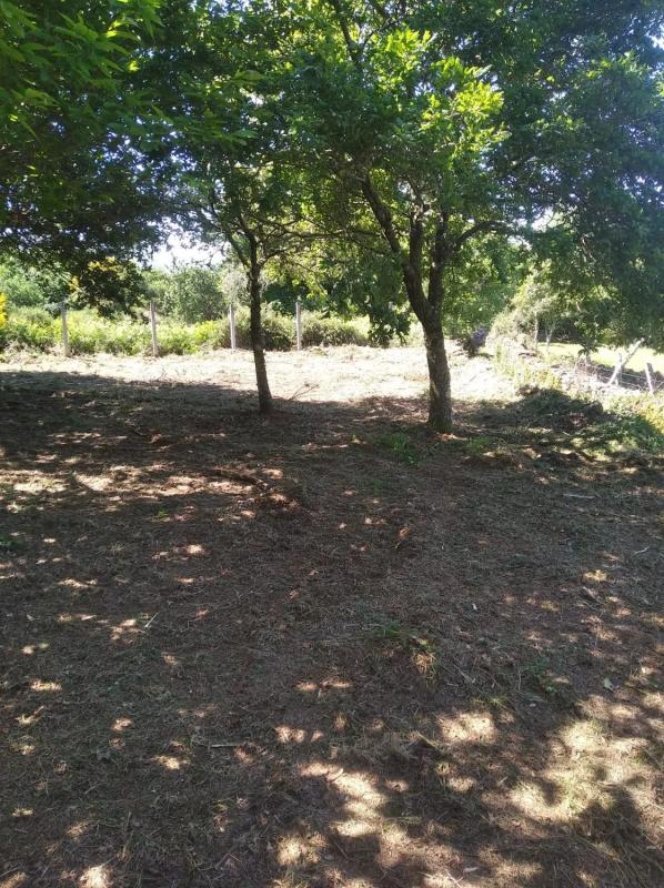 Działka na sprzedaż w A Estrada, Pontevedra photo 4