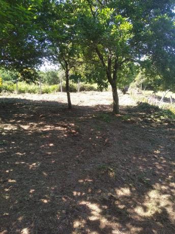 Terreno en Loureiro, 23 photo 4