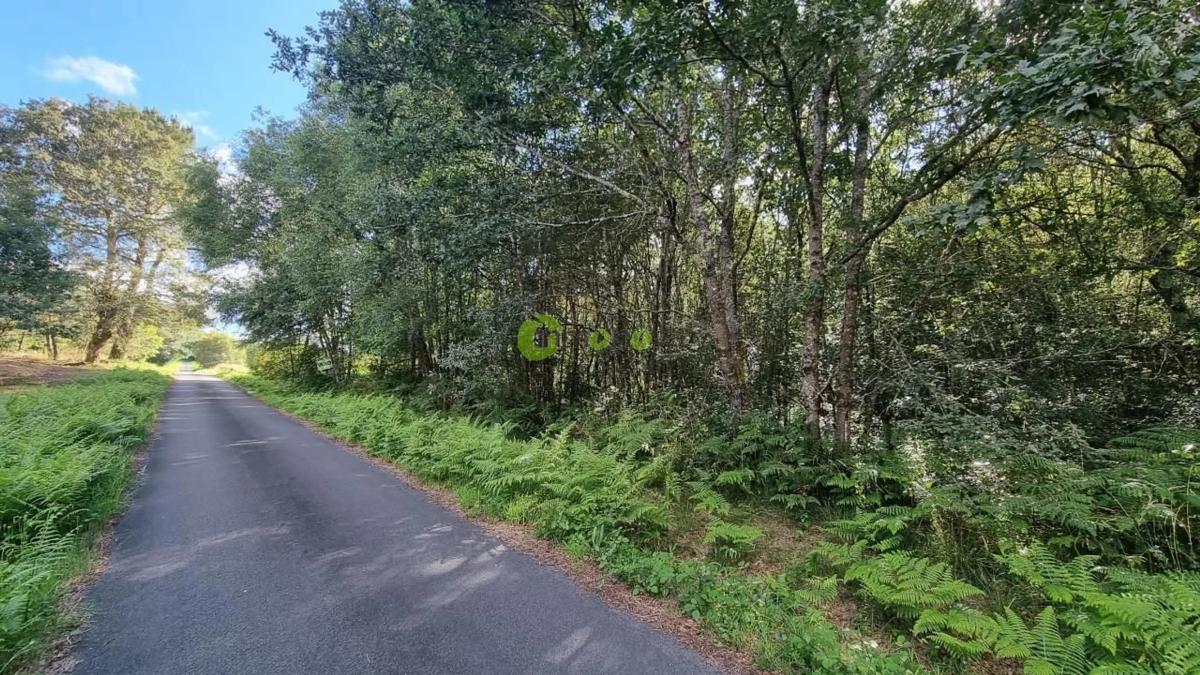 Działka na sprzedaż w A Estrada, Pontevedra photo 1