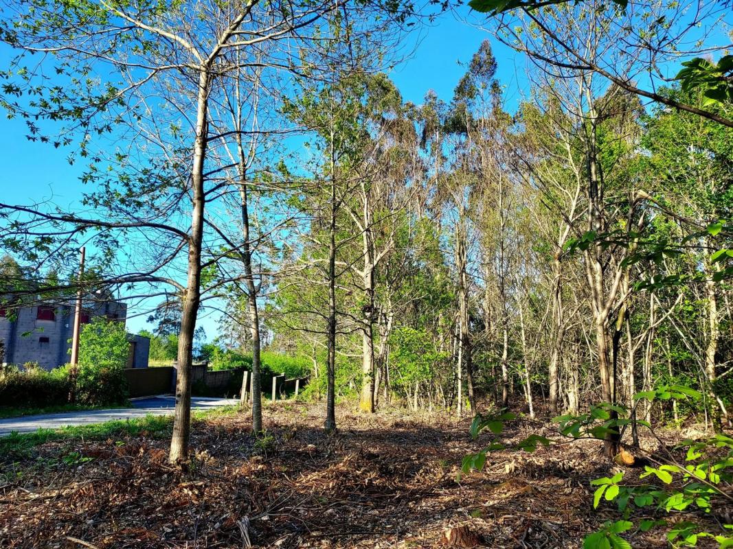 Terreno en venta en A Estrada, Pontevedra photo 4