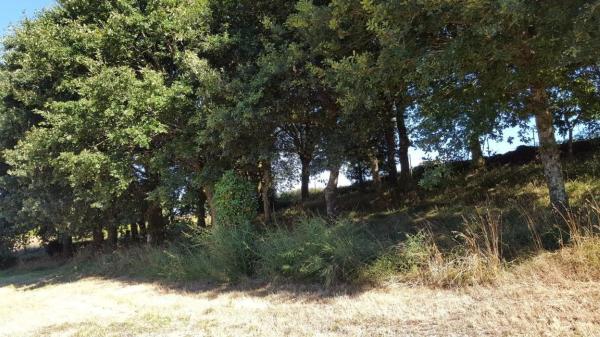 Terreno en Ep-7001 s/n photo 1