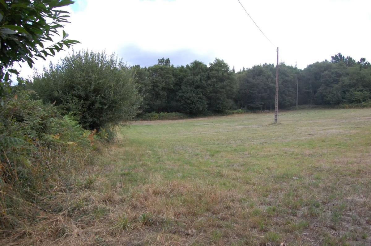 Terreno en venta en Agolada, Pontevedra photo 4