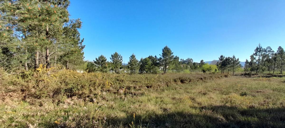 Działka na sprzedaż w Tomiño, Pontevedra photo 2