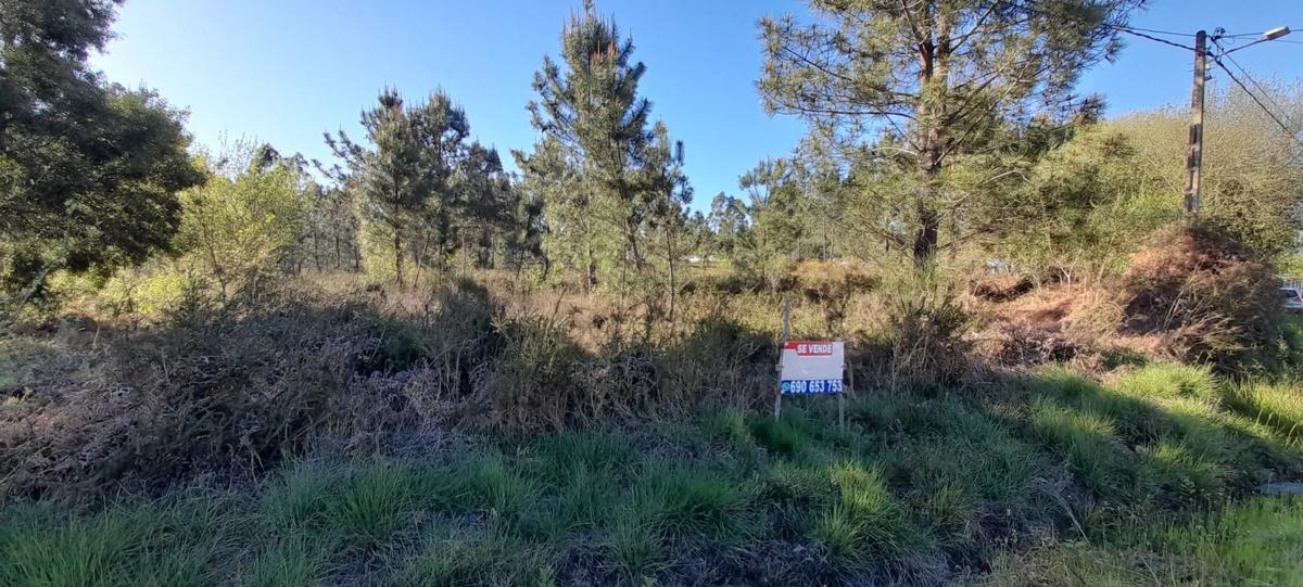 Działka na sprzedaż w Tomiño, Pontevedra photo 4