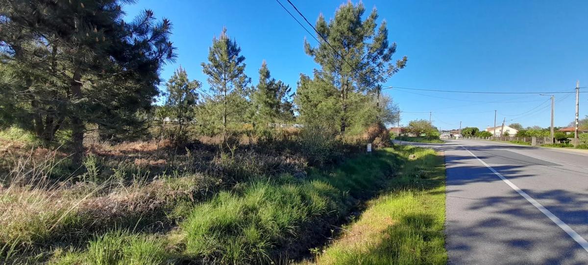 Działka na sprzedaż w Tomiño, Pontevedra photo 5