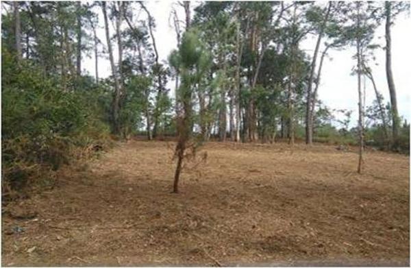 Terreno en Po-552 photo 2