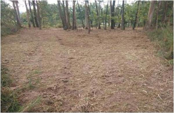 Terreno en Po-552 photo 3