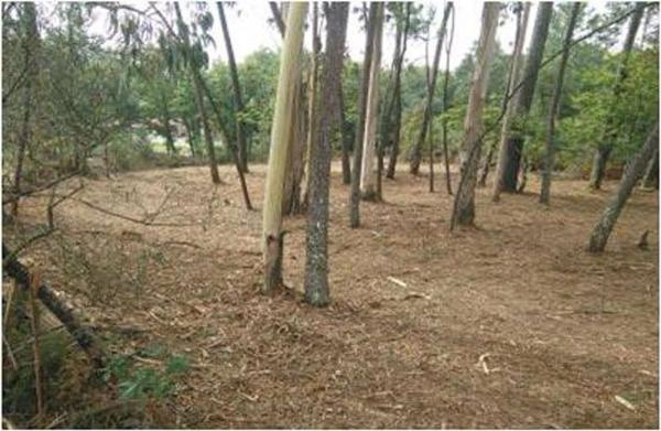 Terreno en Po-552 photo 4