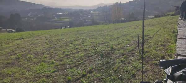 Terreno en Tomiño photo 2