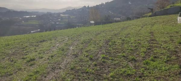 Terreno en Tomiño photo 3