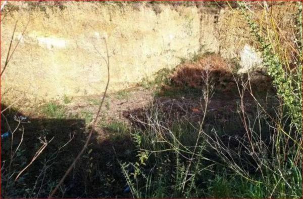Terreno en calle Manuel Suárez Marquier s/n thumbnail 1