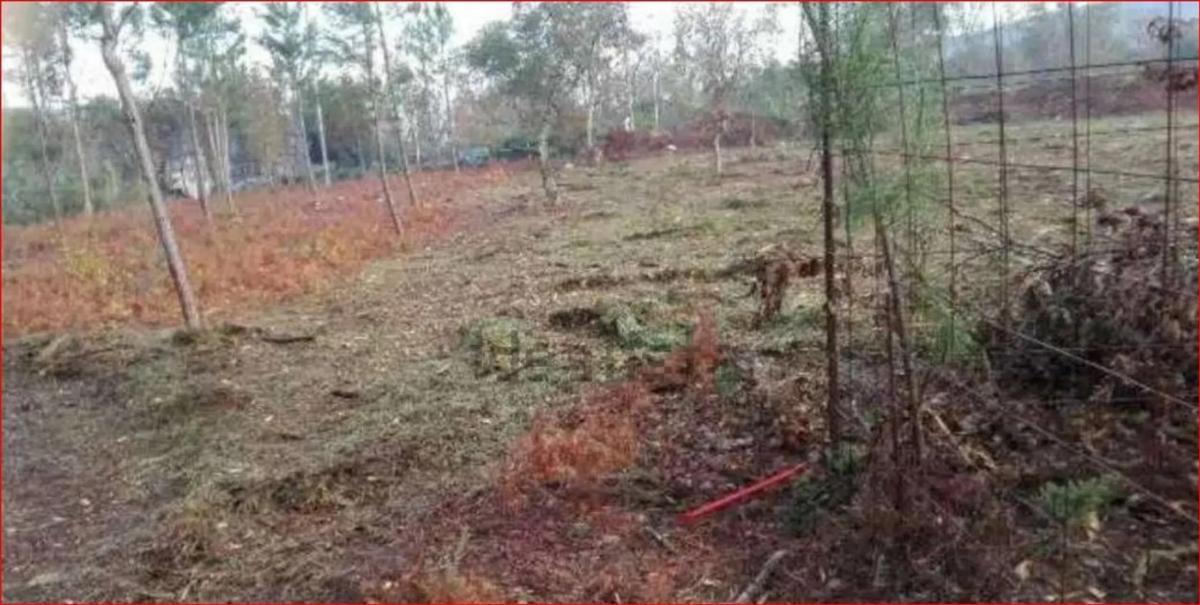 Terreno en venta en O Rosal, Pontevedra photo 4