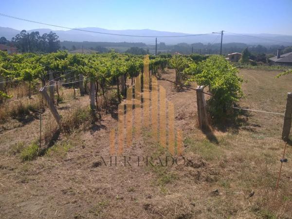 Terreno en Bouzada photo 2