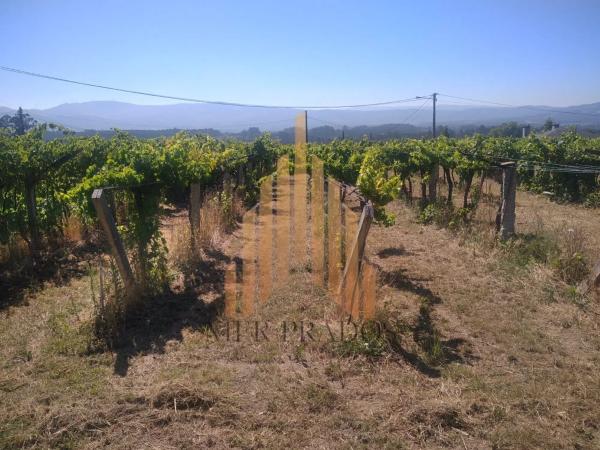 Terreno en Bouzada photo 3