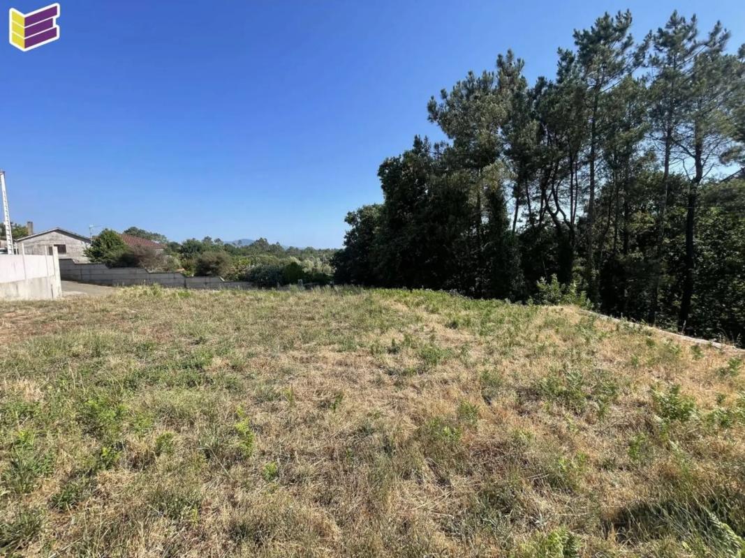 Land for sale in Tui, Pontevedra photo 5