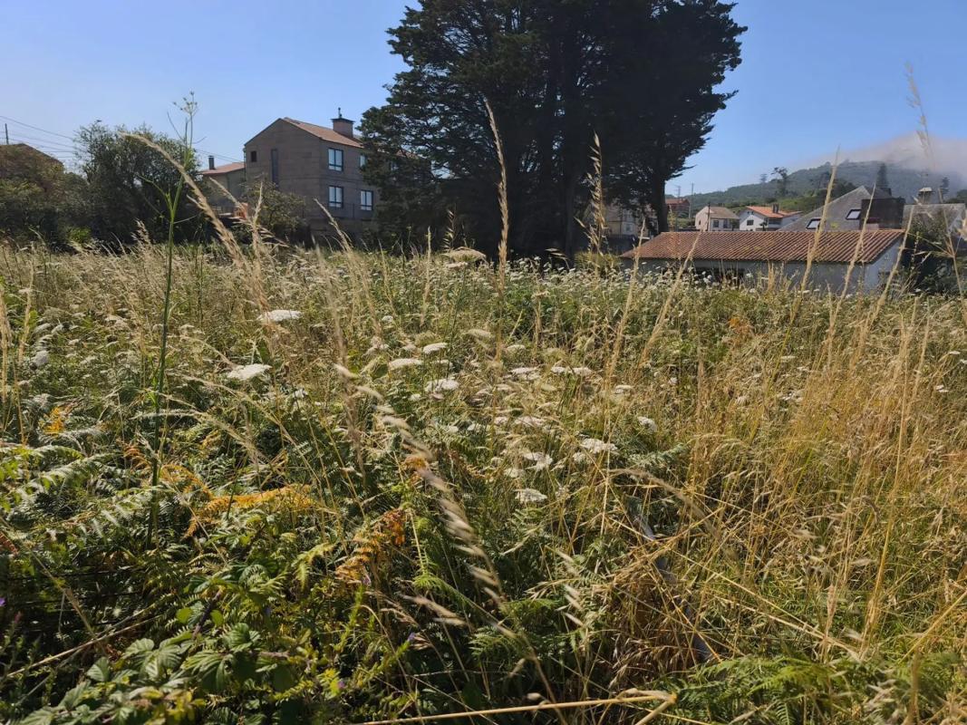 Land for sale in A Guarda, Pontevedra photo 3