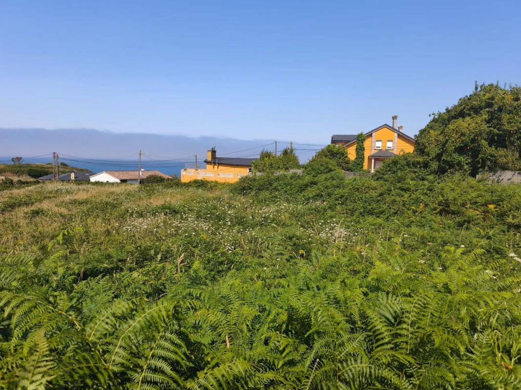 Land for sale in A Guarda, Pontevedra photo 4