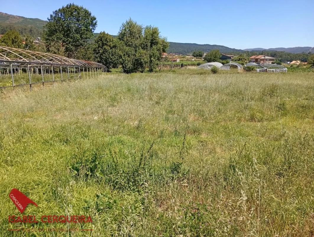 Działka na sprzedaż w O Rosal, Pontevedra photo 3