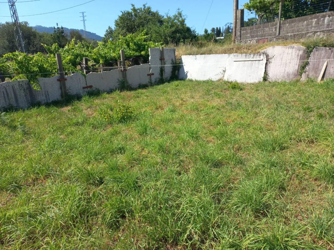 Land for sale in Tui, Pontevedra photo 2