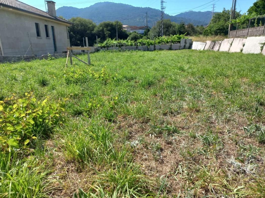 Land for sale in Tui, Pontevedra photo 3