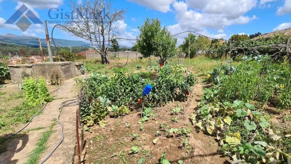 Terreno en Lugar Ciguñeira Guillarei photo 2