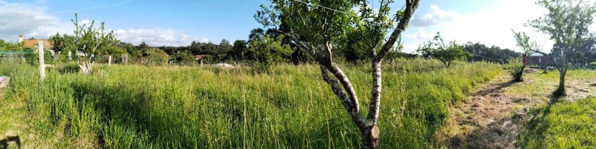 Участок земли на продажу в Томинью, Пontevedra photo 3