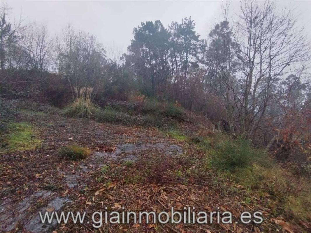 Działka na sprzedaż w Tomiño, Pontevedra photo 5