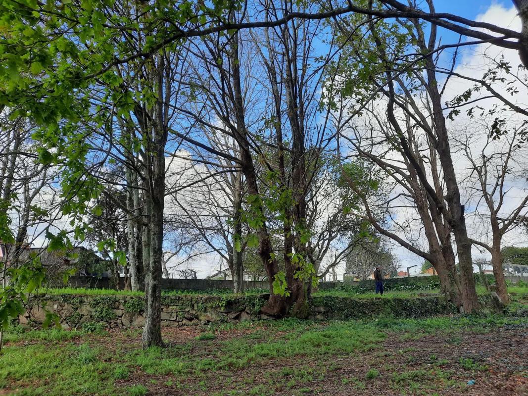 Terreno en venta en Tui, Pontevedra photo 1