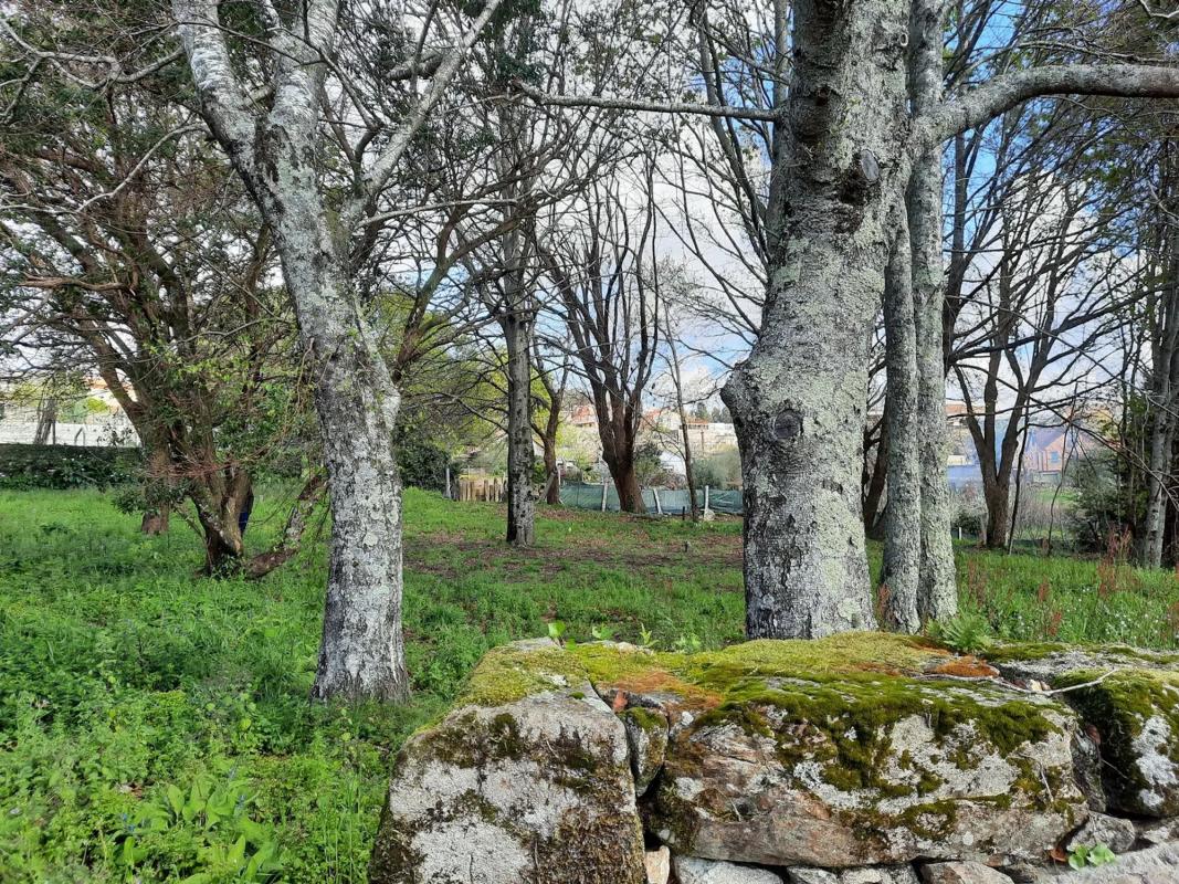 Terreno en venta en Tui, Pontevedra photo 2