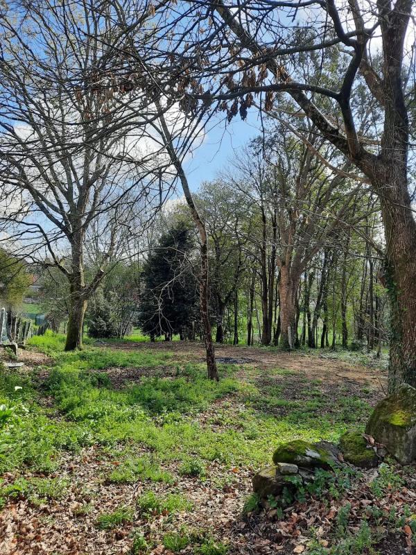 Terreno en venta en Tui, Pontevedra photo 3