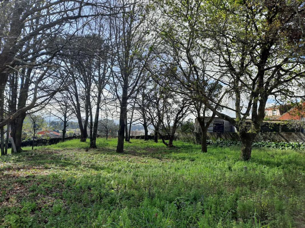 Terreno en venta en Tui, Pontevedra photo 4