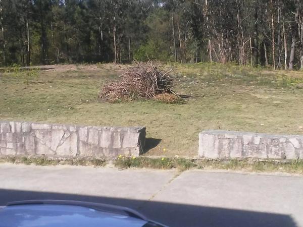 Terreno en Tomiño photo 1