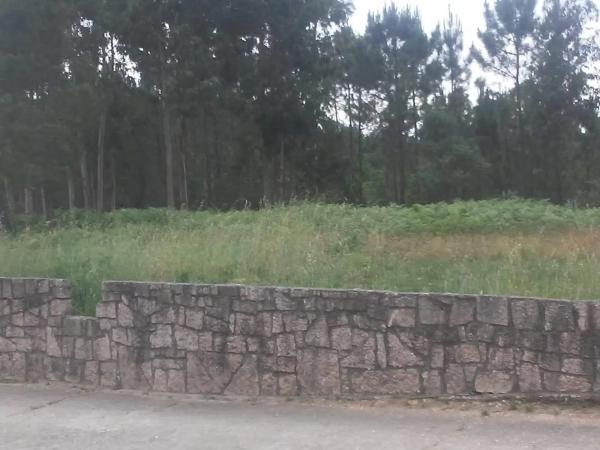 Terreno en Tomiño photo 2