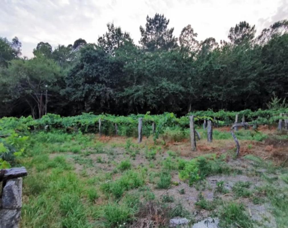 Terreno en venta en Tui, Pontevedra photo 1